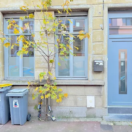 Les Arts 4 Sdb Privatif 1 Er Etage Roubaix